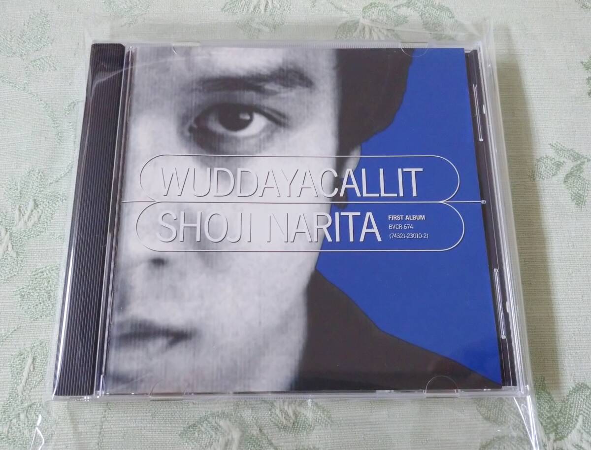 中古】ゾロサン[B]WUDDAYACALLIT/成田宝/透明人間×サンジ/やや厚めの