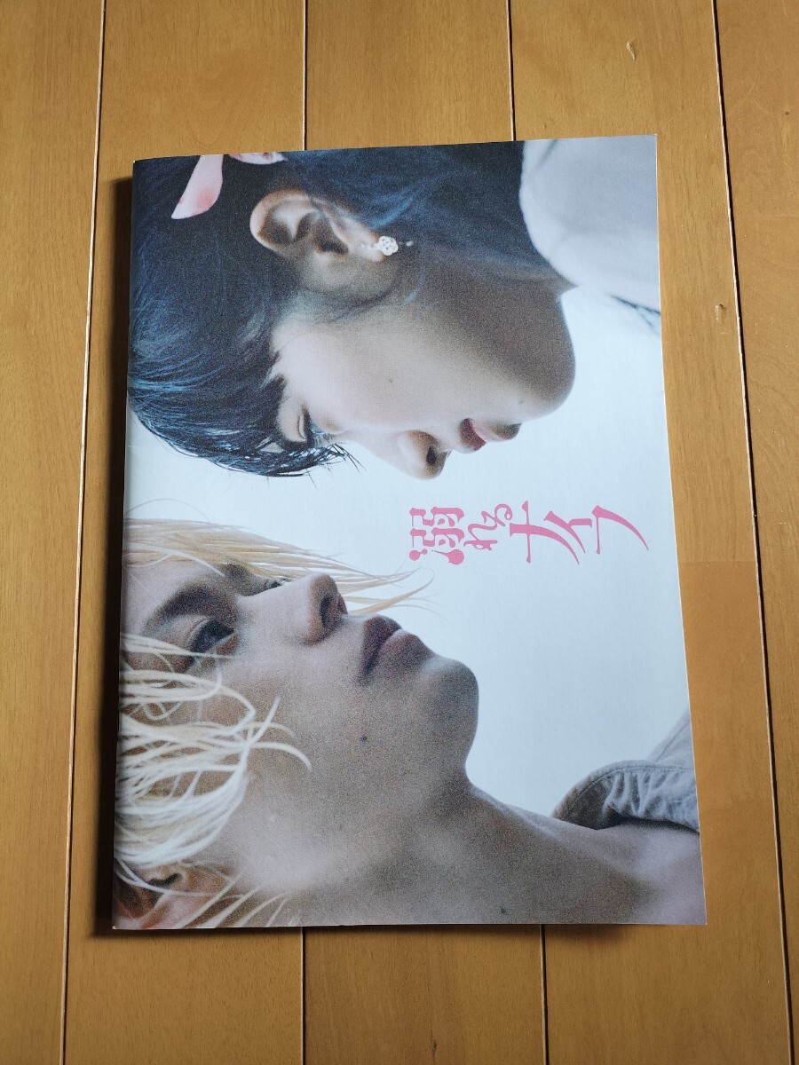 新品】 当選 小松菜奈 菅田将暉 チェキ 直筆サイン入り（ 当選通知書