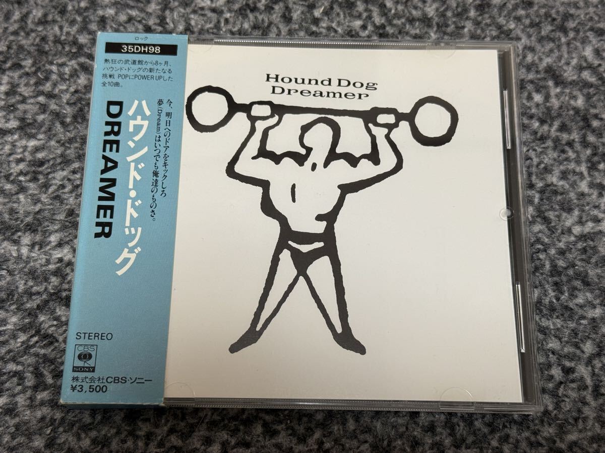 ハウンドドッグツアーパンフレット HOUND DOG (ハウンドドッグ)懐かしのツアーパンフレット3点セット
