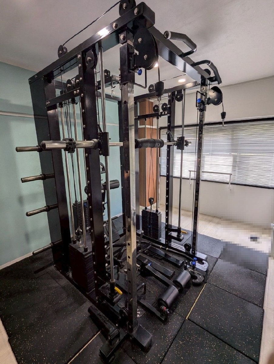 タフスタッフ tuff stuff csm-600 cdm-400 スミスマシン プレート220kg 