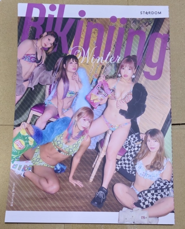 希少 スターダム写真集 STARDOM VISUAL BOOK Bikiniing 7 レア写真集の