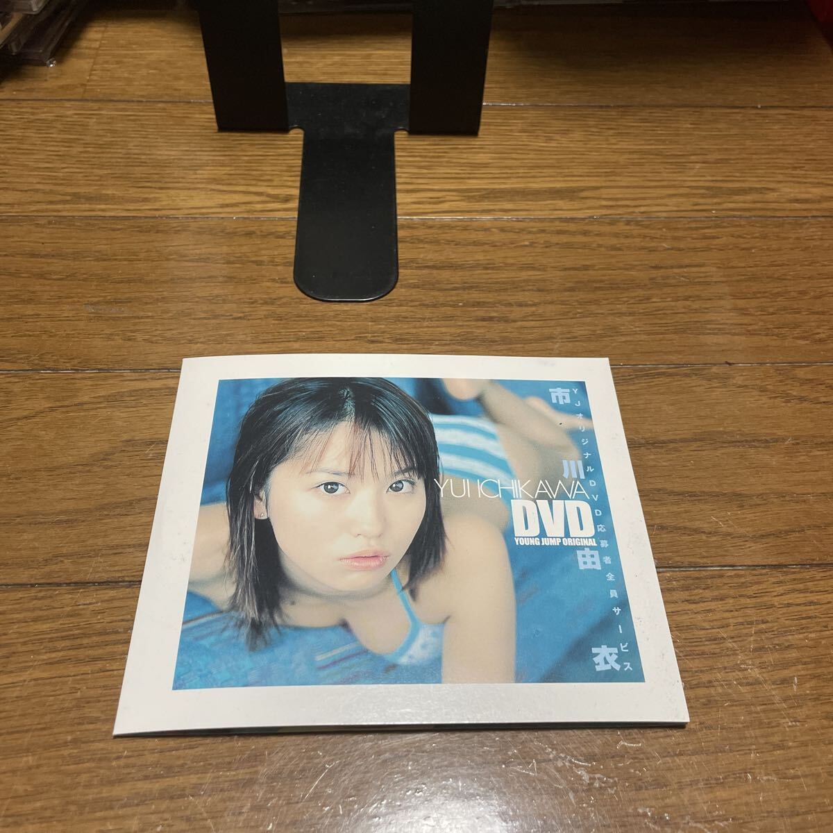 未使用に近い】集英社 週刊ヤングジャンプ特別編集 市川由衣 写真集