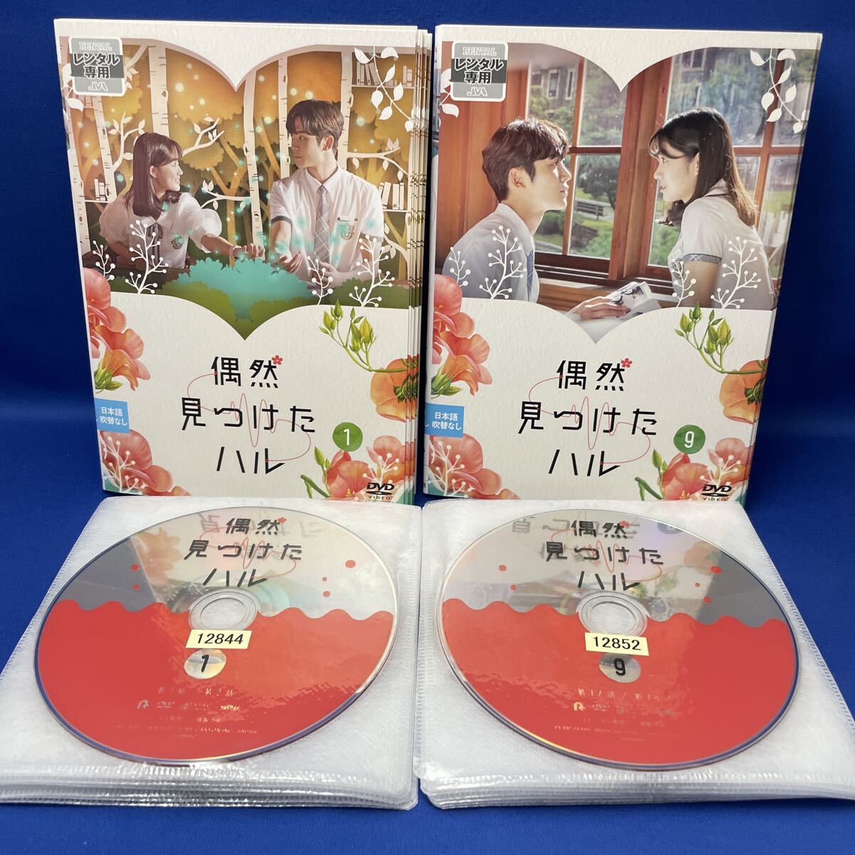 キム・ヘユン☆ロウン(SF9)『偶然見つけたハル』レンタル落ちDVD☆全巻