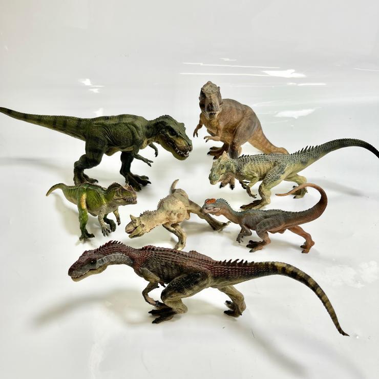 博物館級化石】化石 ジュラ紀の王様 アロサウルス カギ爪 見事な血抜き