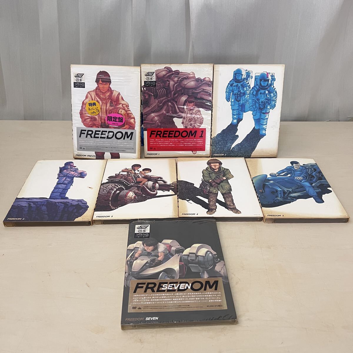 美品】大友克洋デザイン FREEDOM PROJECT タケル フィギュア 日清