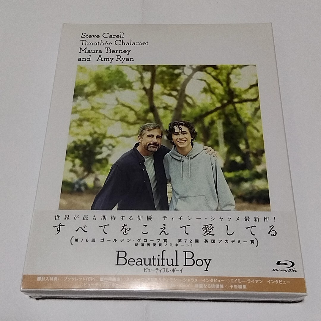 The Beautiful Boy 洋書 美男子・美少年 の歴史/男子像 Germaine Greer