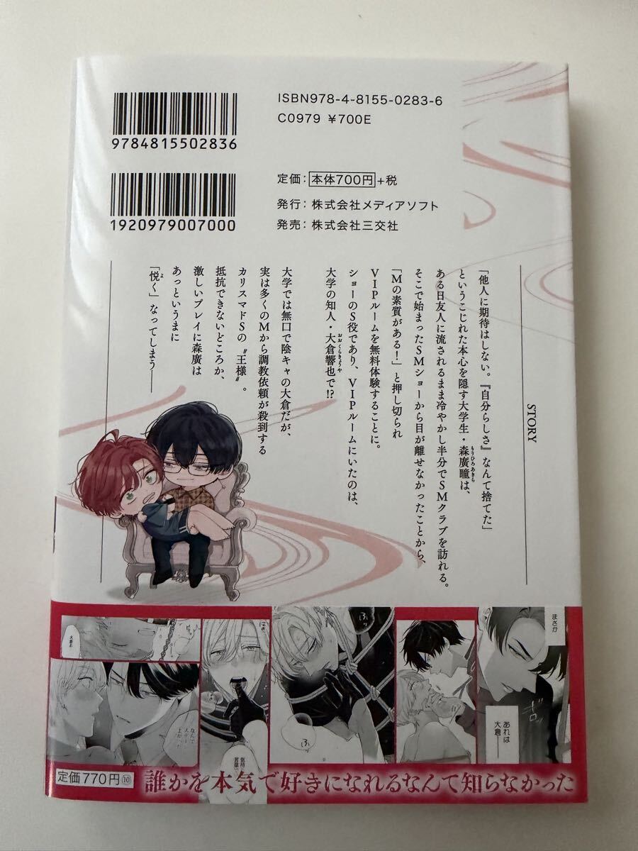 マギ」37（最終）巻購入特典ペーパー/小学館/大高忍の落札情報詳細