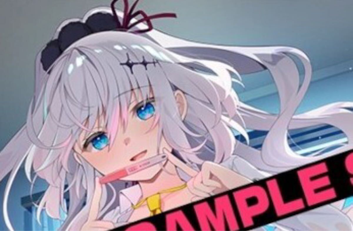 未使用】ディメンション凸ラバース!! ソフマップ特典B2タペストリーの 