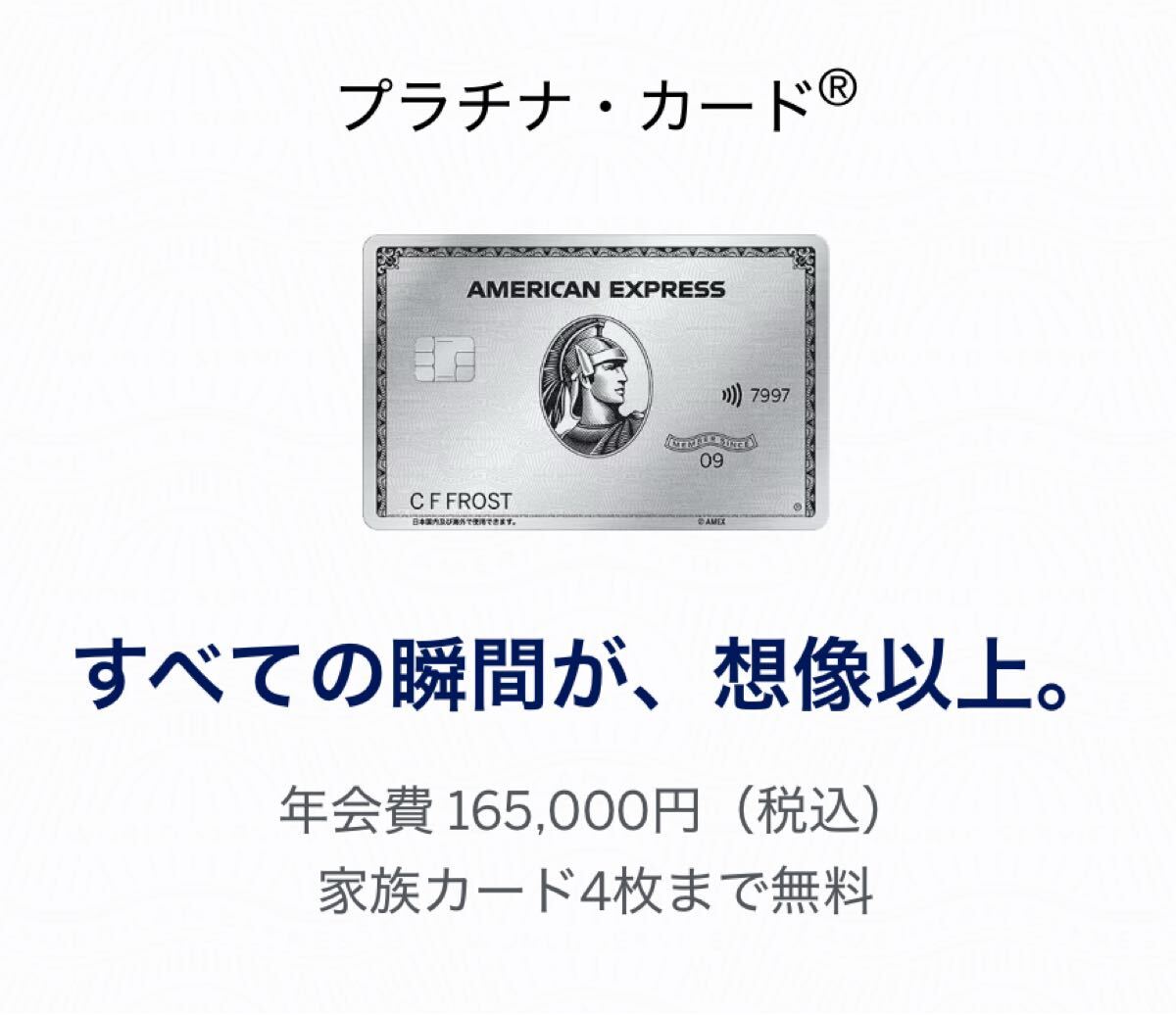 新品】希少 外箱付属 内箱 冊子 封筒 ネームタグ アメックス AMEX