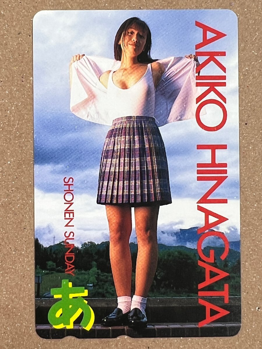 週刊少年サンデー 1995年1月4日・11日号 No.2・3合併号 雛形あきこ