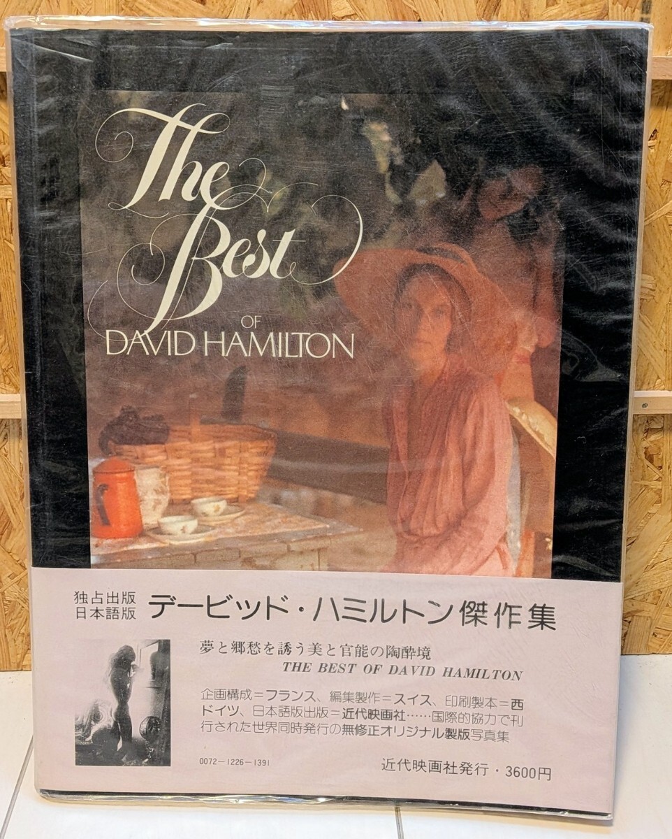やや傷や汚れあり】DAVID HAMILTON デビッド・ハミルトン☆The best of