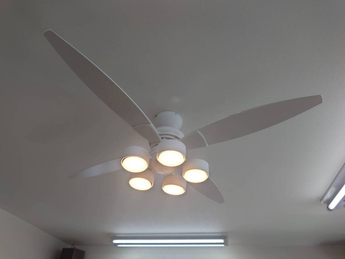 新品】【新品未開封品】《DAIKO》大光電機 シーリング ファンライト 5