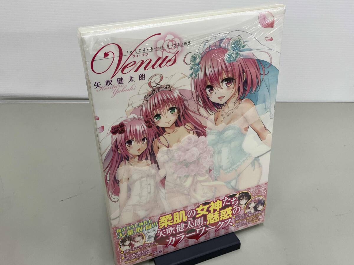 未使用】【新品】とらぶるダークネス 結城美柑 水着 A3クリアポスター