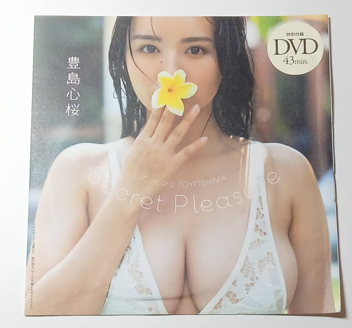 新品】アサ芸secret 等身大ポスター グラビアアイドル 川崎あや