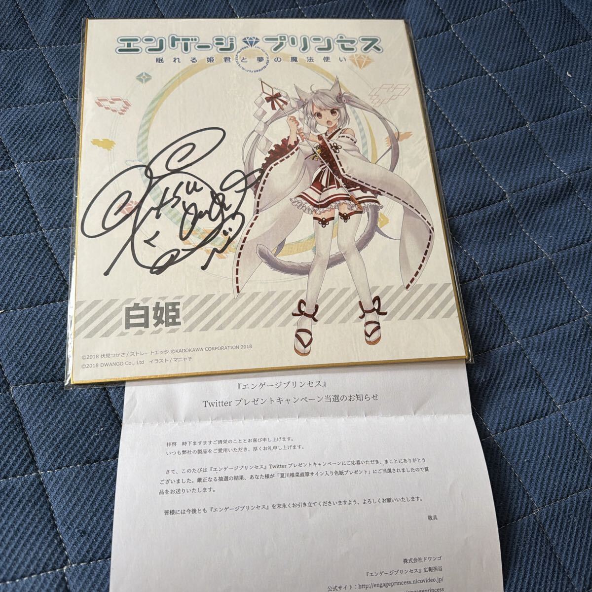 やや傷や汚れあり】1,000円スタート レア！！元プリンセスプリンセス