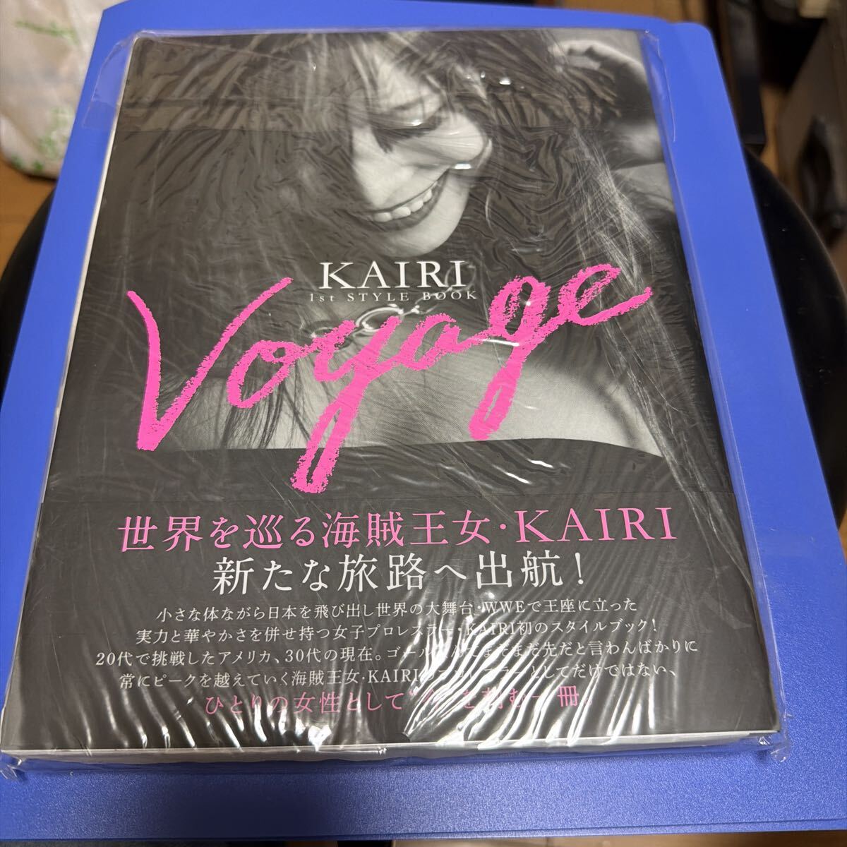 ◎ 泉里香 ライフスタイルブック RIKA STYLE BOOK 美女 美乳 美尻 送料