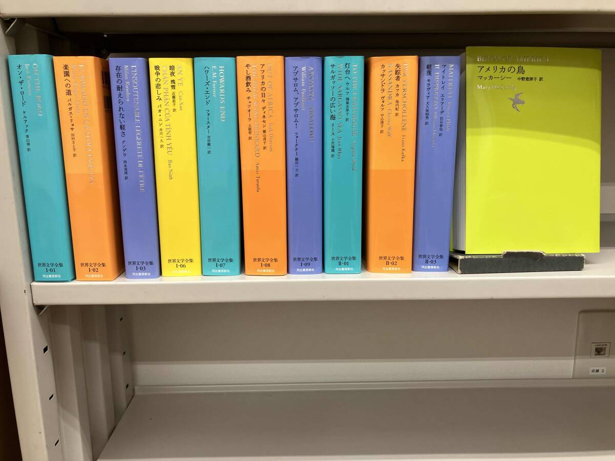 世界文学全集 世界 文学 　セット 河出書房 43冊セット 9120 05 226-272197-20 [S] 河出 世界文学全集 全25巻 世界文学の歴史付き