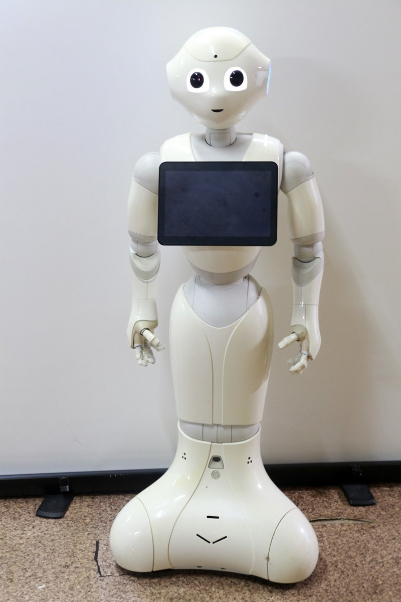 中古】 Softbank ソフトバンク ロボット Pepper ペッパー君 一般販売 