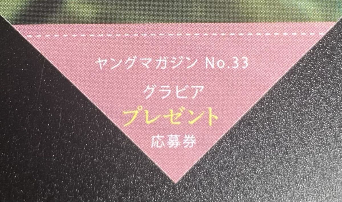 新品】寺本莉緒☆直筆サイン入りチェキプレゼント応募券1枚/ヤング