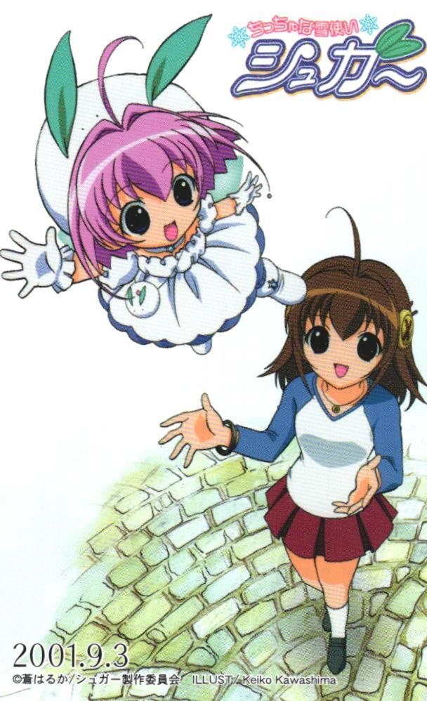 アニメディア 2002 1月 付録付 劇場版犬夜叉・ちっちゃな雪使い
