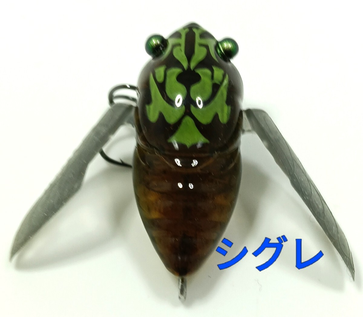 セミタケ　昆虫　標本 冬虫夏草 樹脂封入標本！ ツクツクボウシタケ セミタケ セミ 昆虫 漢方