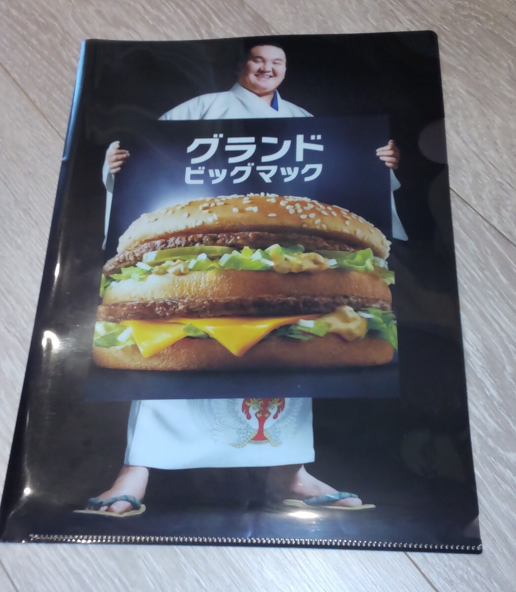 絶版］［新品］［未使用］ WBC 2009 日本代表応援ファイル クリア