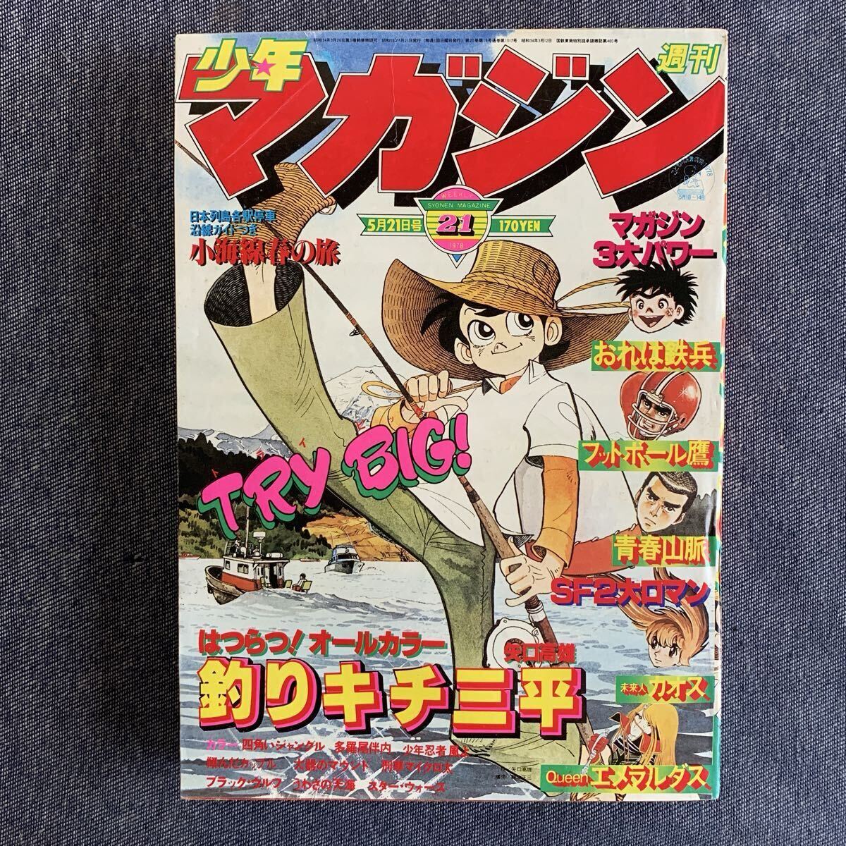 希少 巨人の星 星飛雄馬 川崎のぼる サイン カラーイラスト 色紙 少年