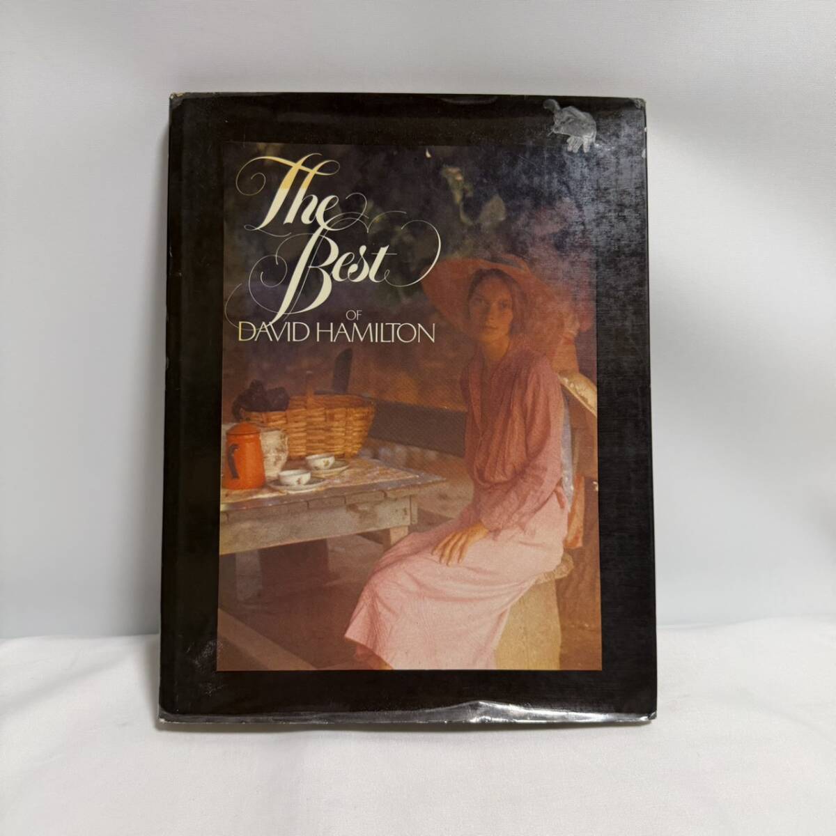 希少 デヴィッド・ハミルトン洋書写真集『David Hamilton Vingt-cinq