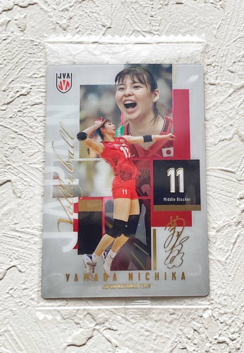 女子 バレー」の直近30日のオークション落札価格一覧 - オークフリー