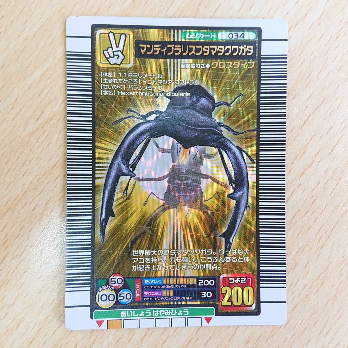 【PSA10】マンディブラリスフタマタクワガタ　2005 セカンド 美品 2005年SE マンディブラリスフタマタクワガタ ムシキング オマケ