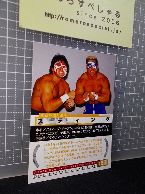 △2002年BBM新日本プロレス30周年♯183スティング/Sting/グレートムタ