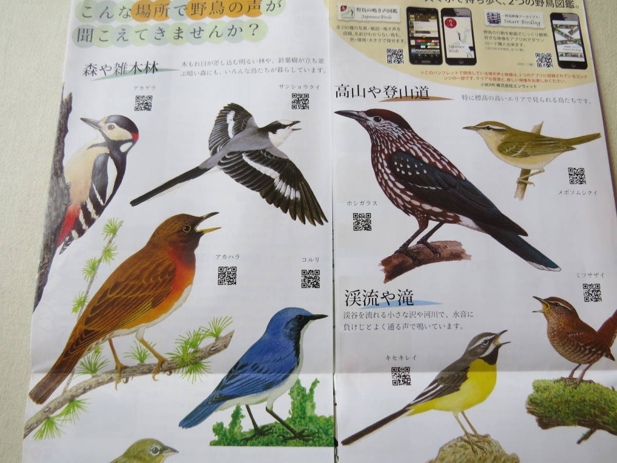 新品 北杜野鳥map 山梨県北杜市の野鳥マップ 薮内正幸イラスト の落札情報詳細 ヤフオク落札価格情報 オークフリー スマートフォン版