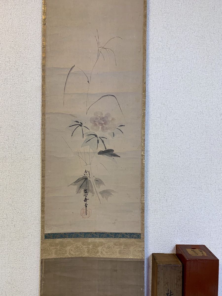 骨董品 掛軸 江戸時代 月見達磨図 作者 狩野派 狩野安信