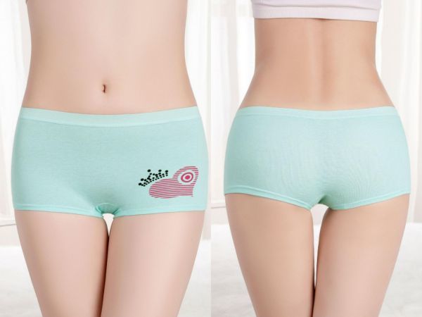 新品 6枚セット レディース ショーツ 美尻 綿 女性 下着 インナー パンティ スポーツショーツローライズ 伸縮性 Lサイズ 19a の落札情報詳細 ヤフオク落札価格情報 オークフリー スマートフォン版