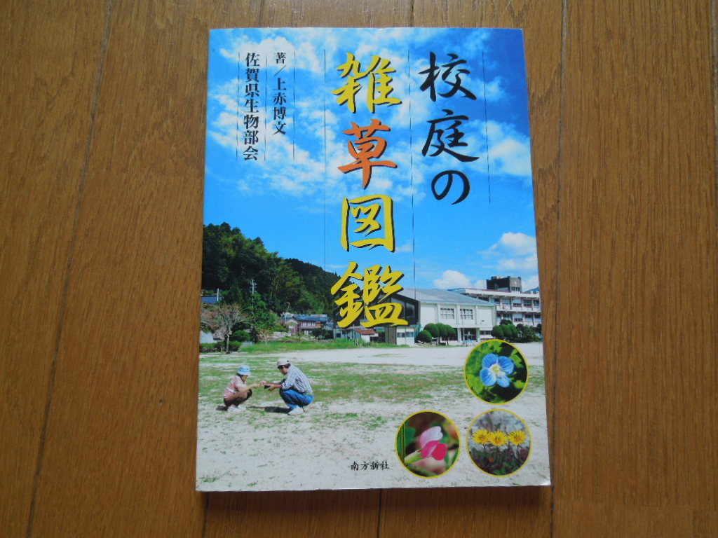 校庭の雑草図鑑 の落札情報詳細 ヤフオク落札価格情報 オークフリー スマートフォン版