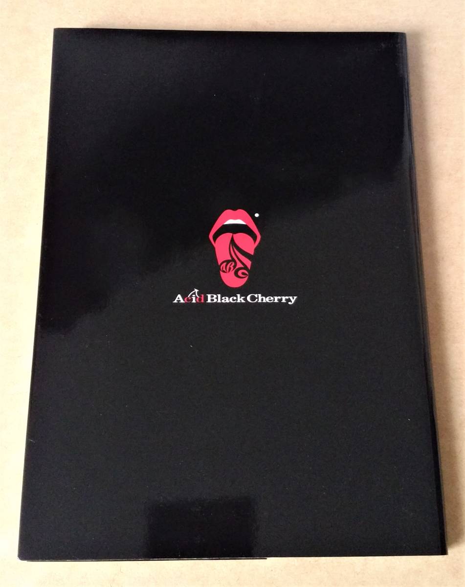 ABC AcidBlackCherry yasu Erectツアーパンフレット
