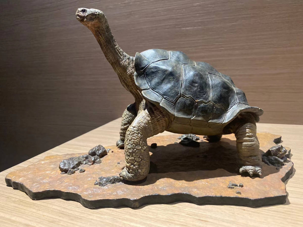 リクガメ フィギュア 孤独なジョージ ガラパゴスゾウガメ 大きさ cm 海外発送 の落札情報詳細 ヤフオク落札価格情報 オークフリー スマートフォン版