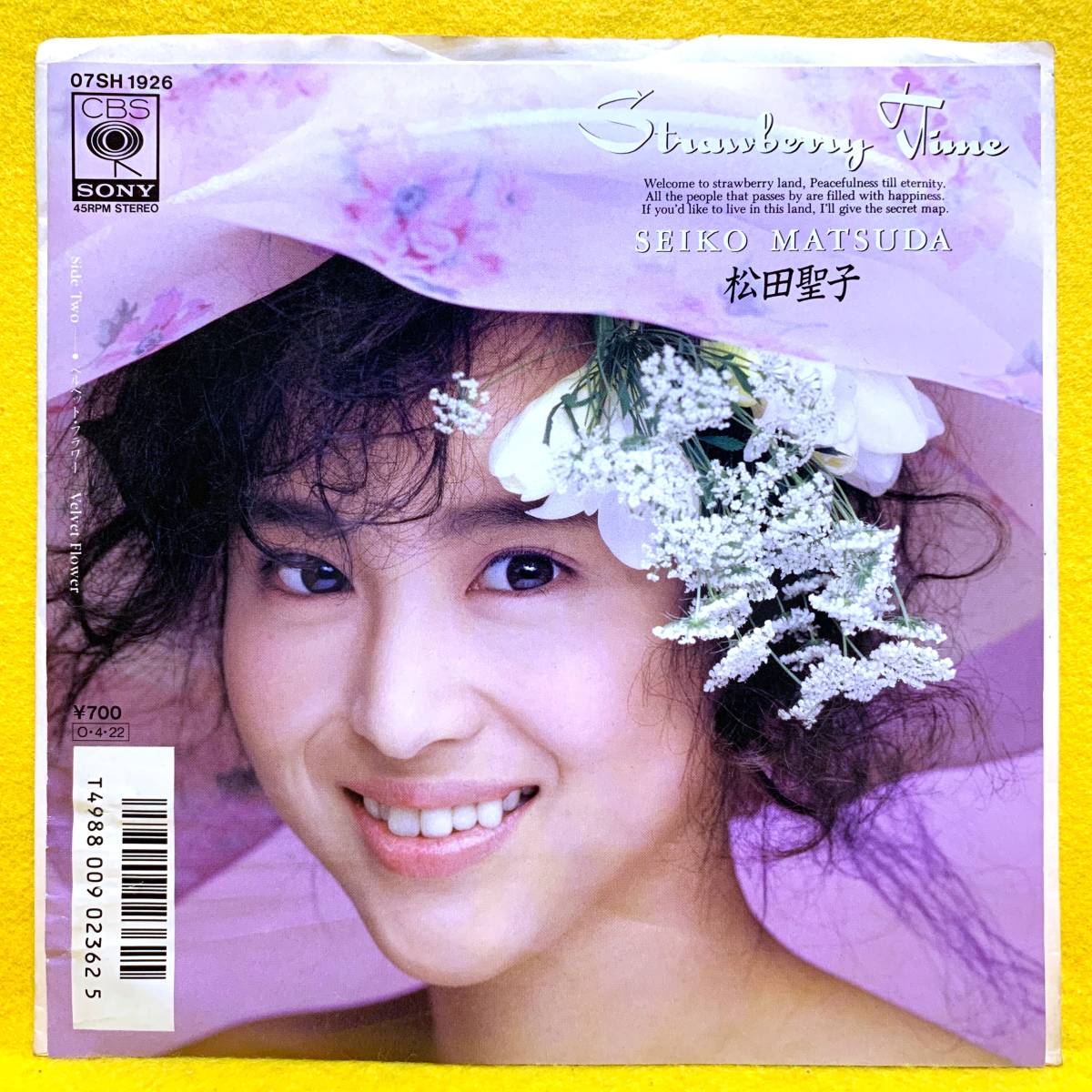 松田聖子　30周年　食器セット　新品未使用！ 松田聖子 30周年 食器セット 新品未使用！ Amazon.co.jp: Seiko