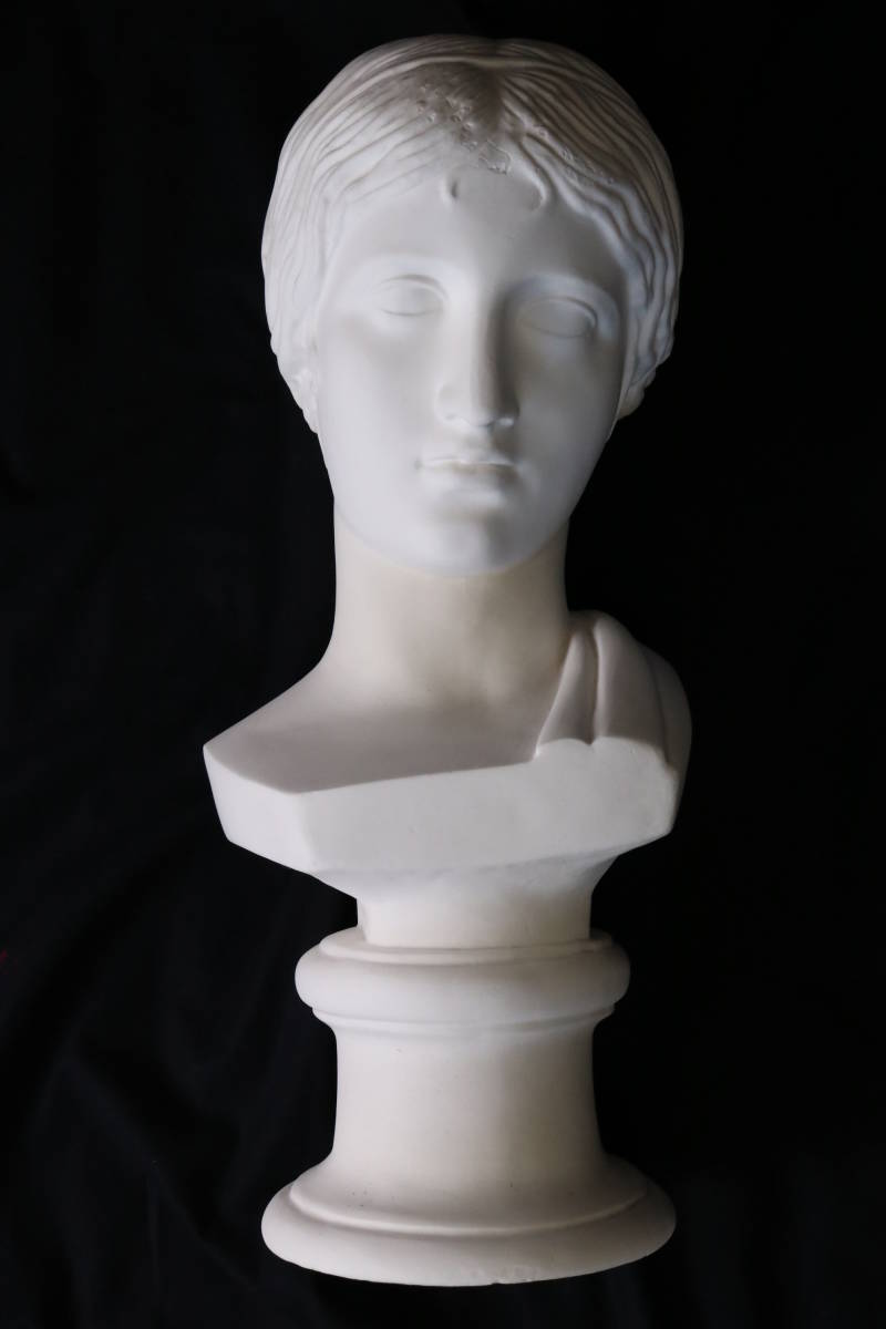 助川石膏 Sukegawa Tokyo 高さ50cm 美術 デッサン練習用 胸像 ギリシア 人物 置物 西洋オブジェ の落札情報詳細 ヤフオク落札価格情報 オークフリー スマートフォン版