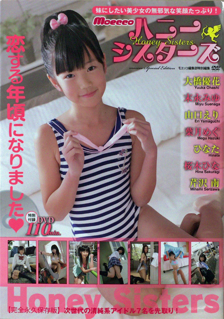 雑誌モエッコ　moecco　ハニーシスターズ(付属ＤＶＤ無し)　ビキニーズvol.2(付属ＤＶＤ無し)　DVDセレクションvol.01(付属ＤＶＤ無し) moecco ハニーシスターズ DVD付き