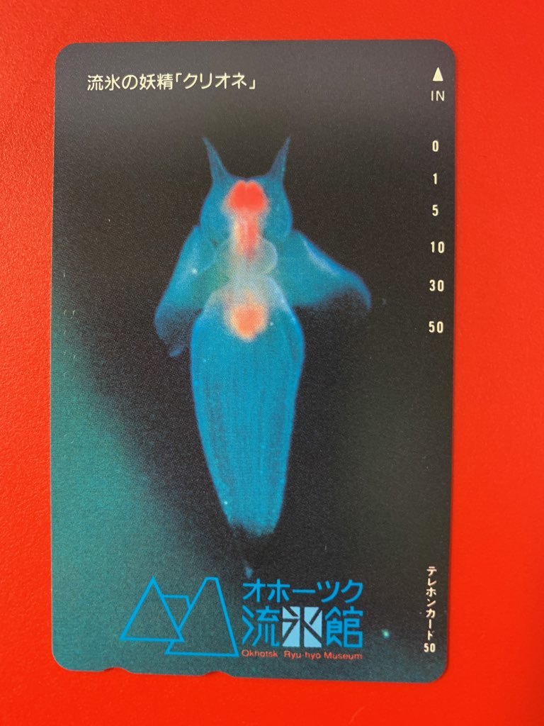 買物 北海道 網走刑務所 テレフォンカード Coplawfirm Com