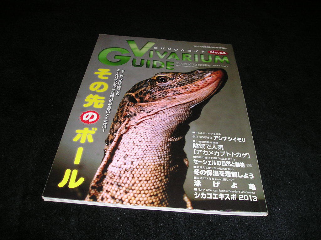 ビバリウムガイド No 64 ボールパイソン アシナシイモリ ヘビ トカゲ カメ 爬虫類 両性類 の落札情報詳細 ヤフオク落札価格情報 オークフリー スマートフォン版