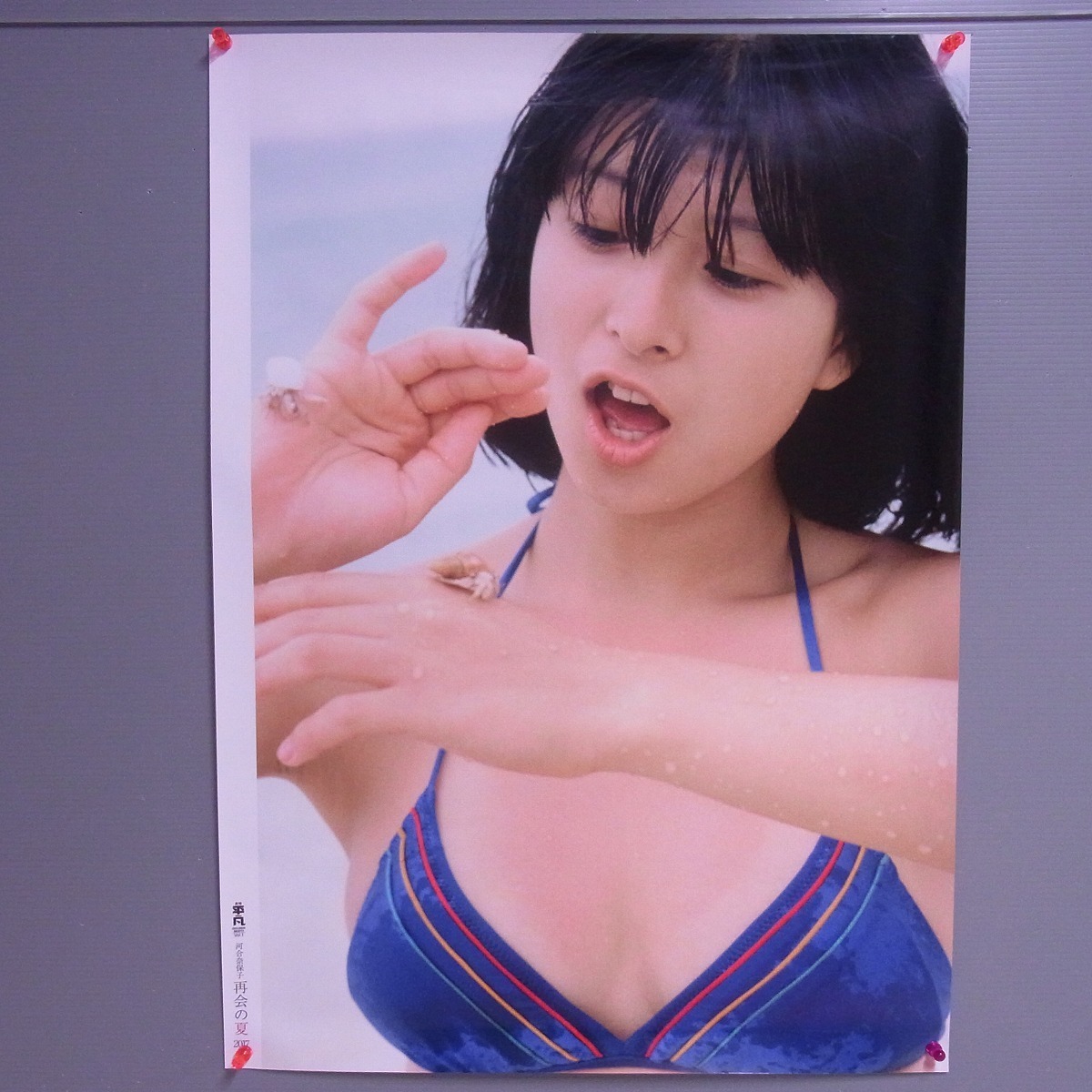 Yahoo!オークション - 河合奈保子 再開の夏2017 ポスター B2サイズ