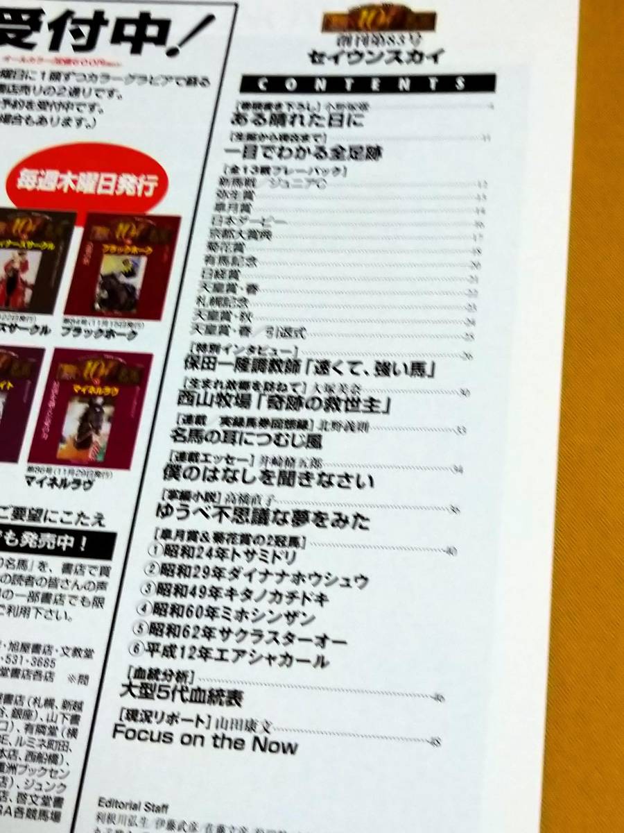 ◎Gallop 臨時増刊 週刊100名馬 vol.90「セイウンスカイ」 平成を彩っ 