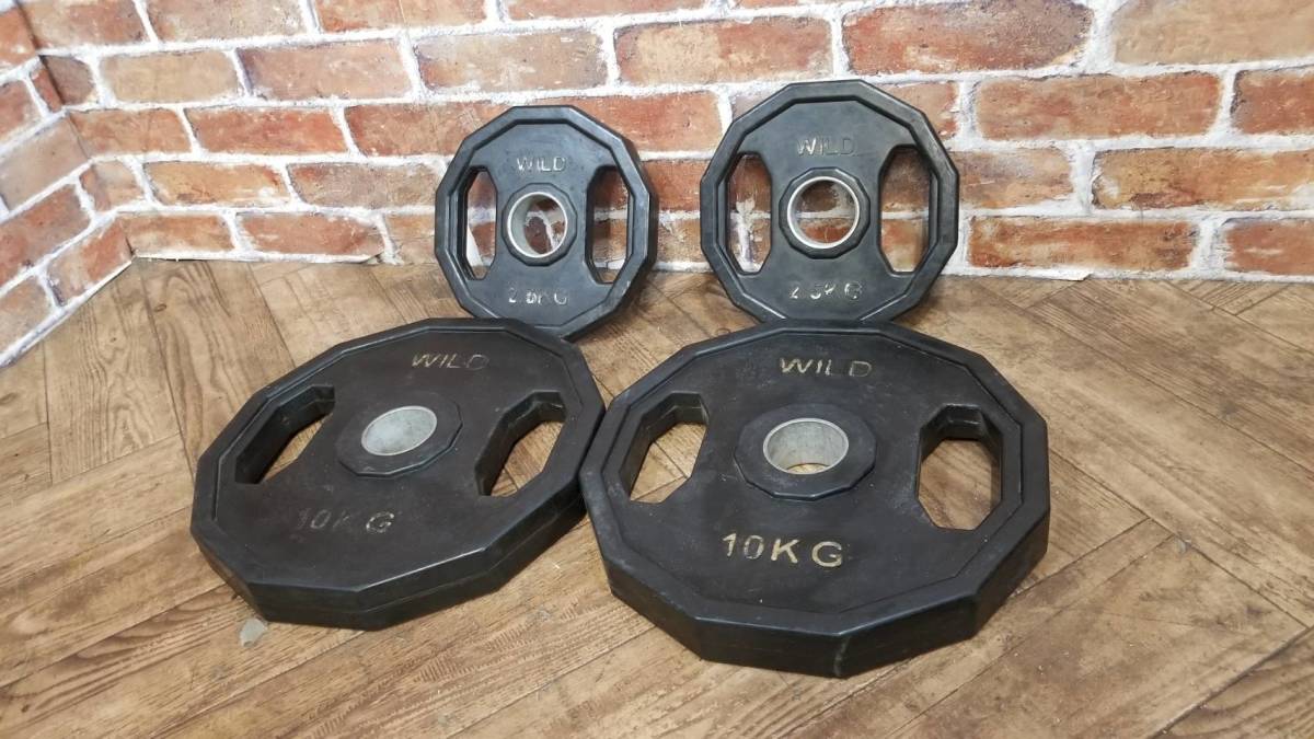 ワイルドフィット  10kgプレート2枚 WILD FIT ワイルドフィット オリンピックプレート 10kg [2枚組