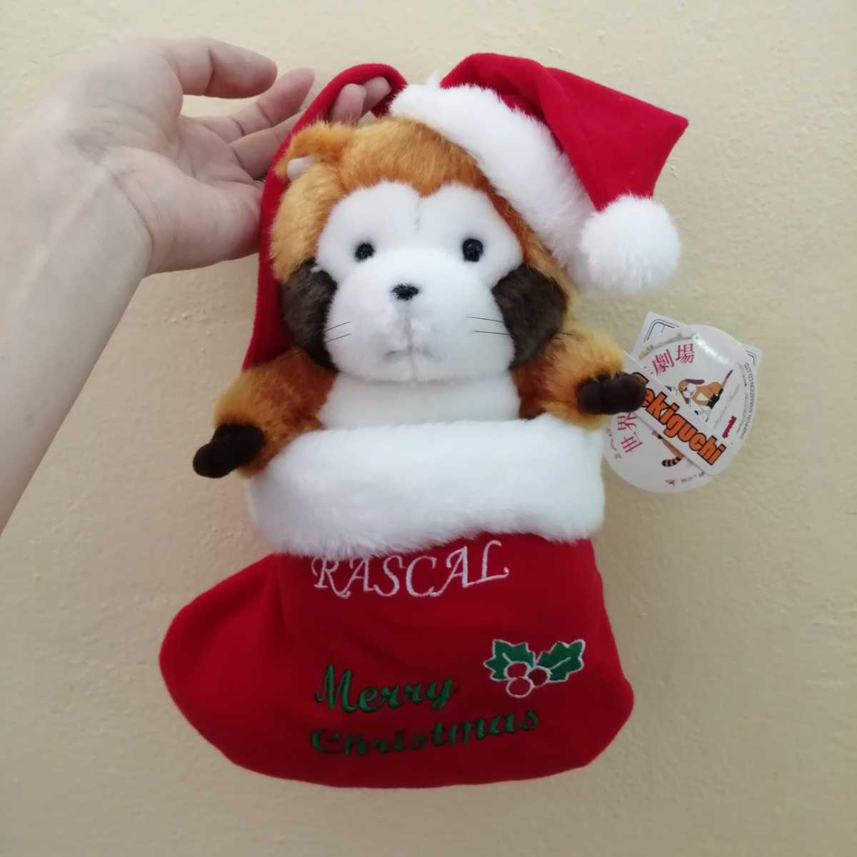 あらいぐまラスカル クリスマス セキグチ