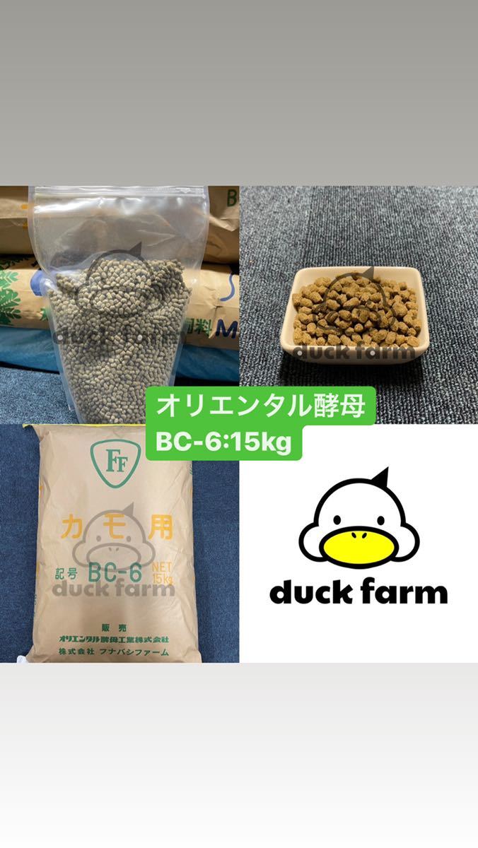 送料無料 アヒル・コールダック用総合飼料・ペレットBC-6 ☆BC-6 MS EP