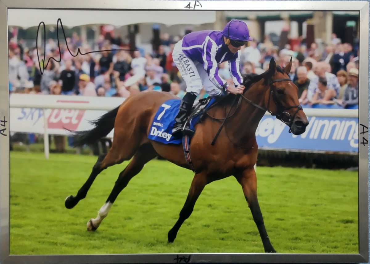 目立った傷や汚れなし ライアン ムーア騎手直筆サインパネル スノーフォール ヨークシャーオークス 悲報 死ぬ 父ディープインパクトの薬物の副作用なのか の落札情報詳細 ヤフオク落札価格情報 オークフリー スマートフォン版