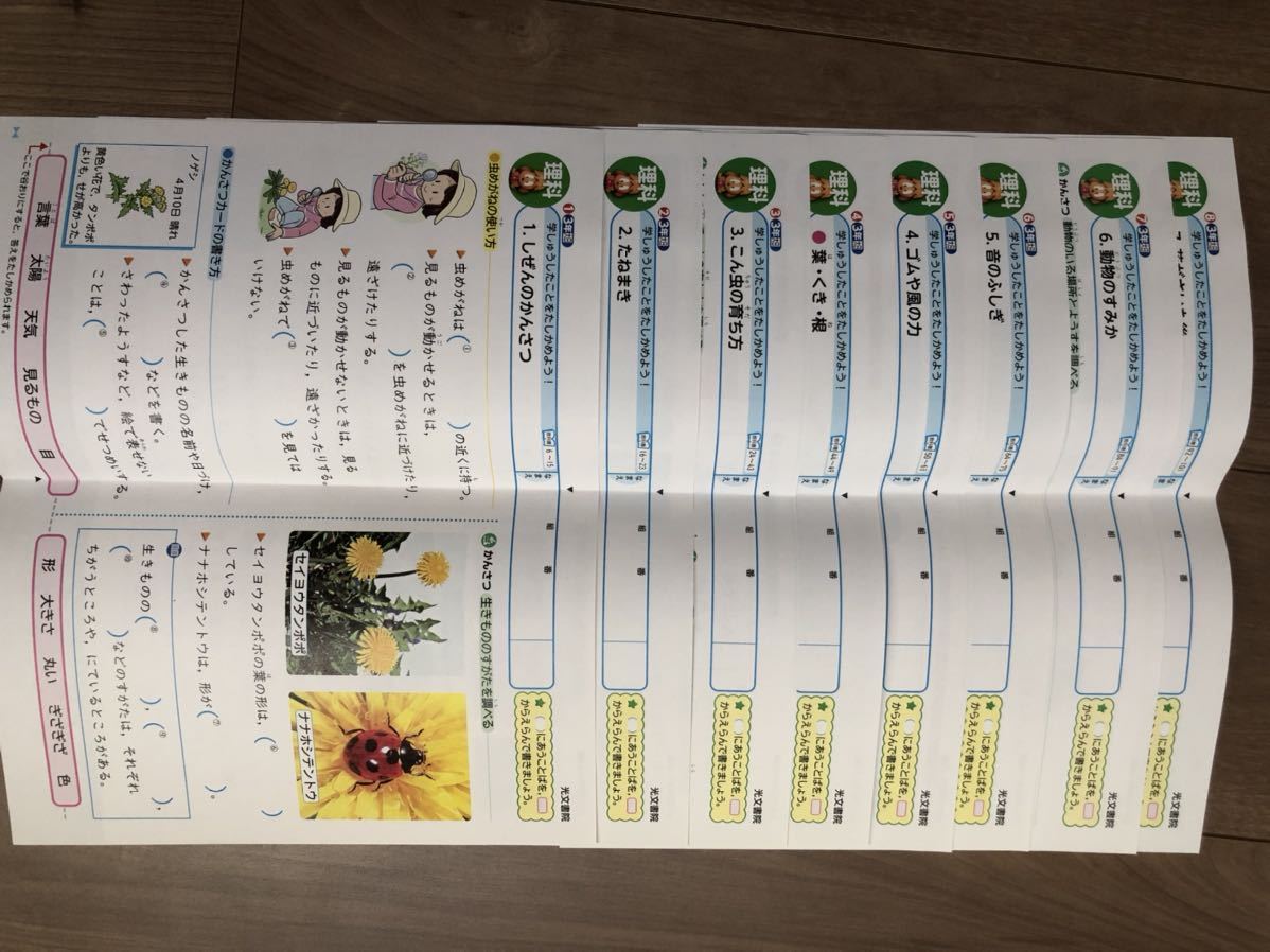 答えたしかめシート 理科 小学校6年 光文書院 カラーテスト解答 最新版】6