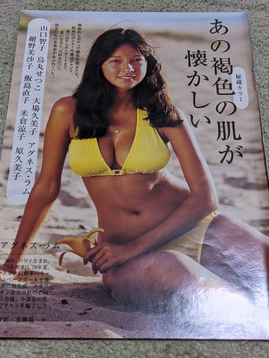◎希少◎グラビア◎アグネスラム◎切り抜きクリアブック◎